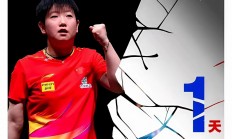 开云官方app入口-关于热门选手表现抢眼，成功晋级下一轮比赛的信息